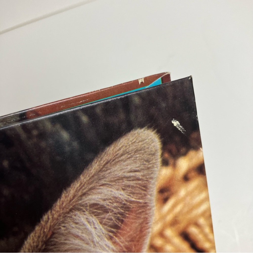 Vintage Folder Kitten Bundle of 2 80s School Supply 1987 - Picture 15 of 17